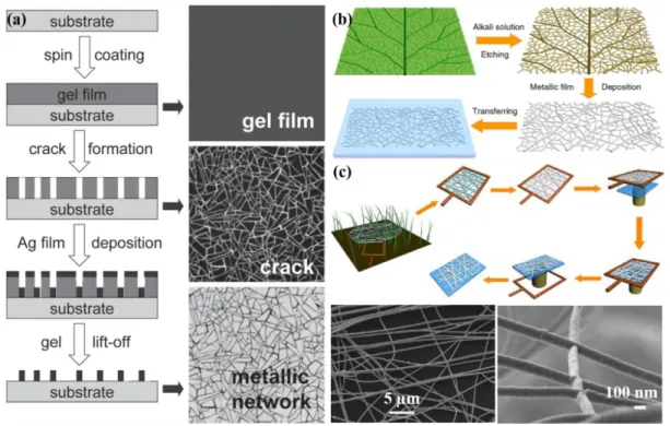 Figure 1.13 (a) Schematic of metal mesh fabrication by using crack template. The structures of gel film,  cracks and network are shown on the right column