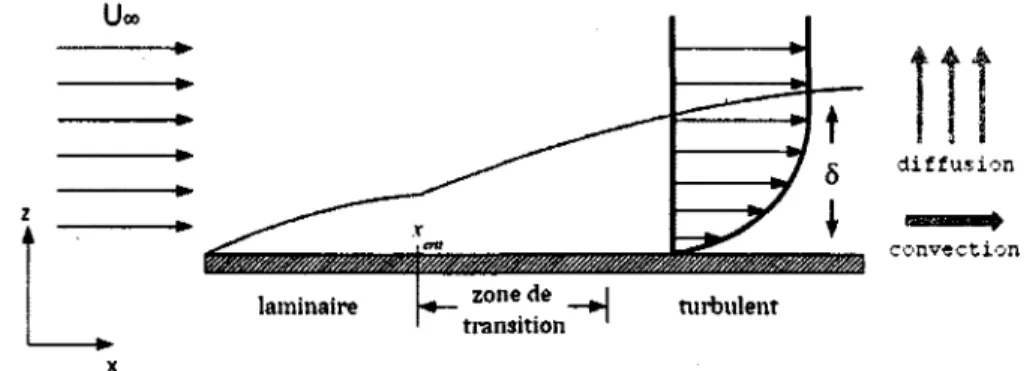 Figure  2.1  Illustration  de la formation  et  de  l’évolution d ’une  couche  limite  le  long d ’une  paroi  rigide.
