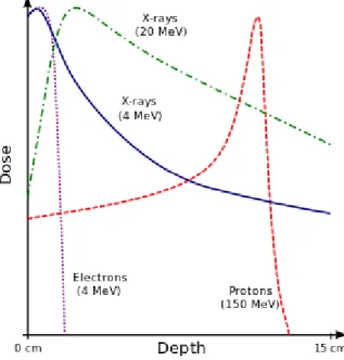 Figure 1.2 Example of energy deposition for protons (150 MeV) in water  compared with X-rays (20 and 4 MeV)  and electrons (4 MeV)