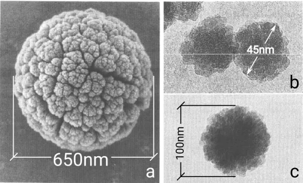 Figure 1.12: Micrographs of nanoparticles. a) Dust generated in a Helium plasma with graphite (adapted from [14])