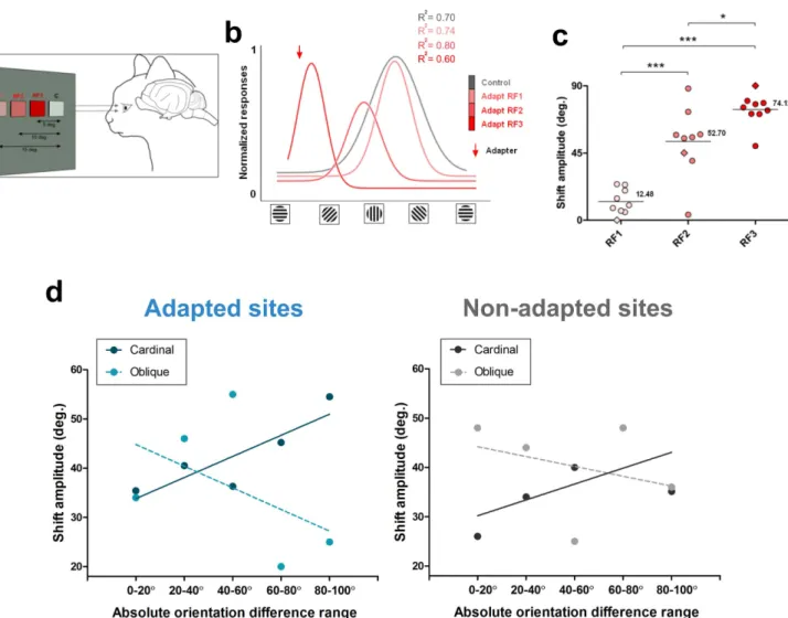 Figure 6c shows the distribution of shift amplitudes over a neuro- neuro-nal population (n 5 9)