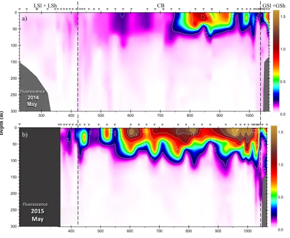 Figure 2.7 Vertical section of chlorophyll fluorescence in the upper 300 m during May 2014 (up) and May  2015 (down) across the AR7W line in the Labrador Sea
