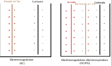 Figure 8. Distribution des charges électriques sur les surfaces des électrodes lors d'EC vs EC/EO 