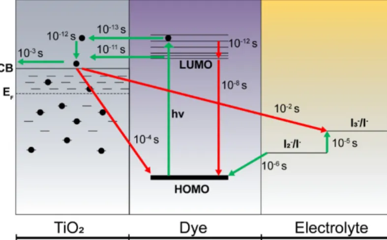 Figure  2.3.  Time  constant  of  charge  injection  and  transport  phenomena  in  a  DSSC