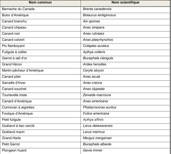 Tableau 3.2 Faune aviaire répertoriée lors des inventaires de la sauvagine de 2006 et 2007  près du Marais de Lavaltrie (Service Canadien de la faune, 2008) 