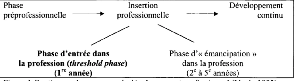 Figure 1 Continuum du processus de developpement professionnel (Vonk, 1993) 