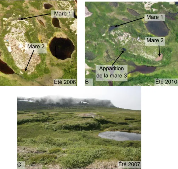 Figure 2.12:  Le  site  d’étude  est  une  butte  de  pergélisol  dans  la  vallée  Tasiapik  près  d’Umiujaq