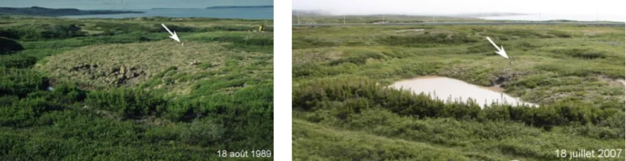 Figure 1.10:  Dégradation  d’une  butte  de  pergélisol  près  de  la  communauté   Inuite  d’Umiujaq  (Figure  1.1)  sur  une  période  de  18  ans;  soit   du  18  août  1989  au  18  juillet  2007