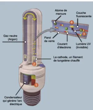 Figure 2.2 : Lampe fluocompacte  Tiré de (Anonyme, 2011b) 
