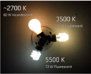 Figure  3.4 :  Comparaison  de  la  température  de  couleur  de  différentes  LFC  versus  une  lampe incandescente 
