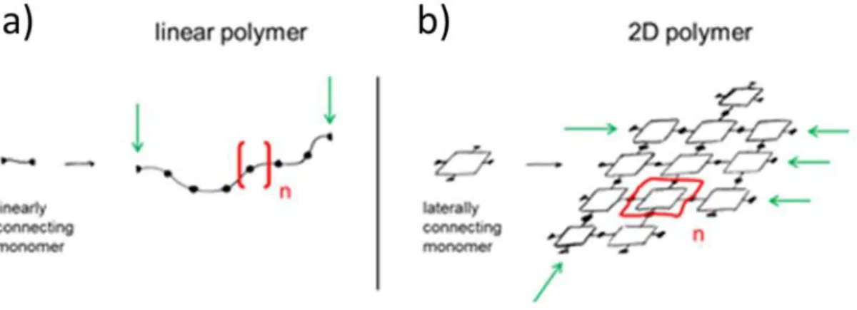 Figure 1-8  Graphical  representation  of  the  formation  of  linear  (a)  and  2D  (b)  polymers  starting  from  their building blocks