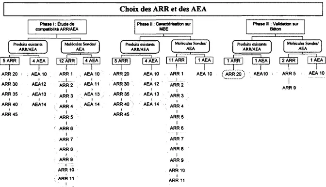 Figure 3.3 : Organigramme des choix des ARR et AEA dans le projet 