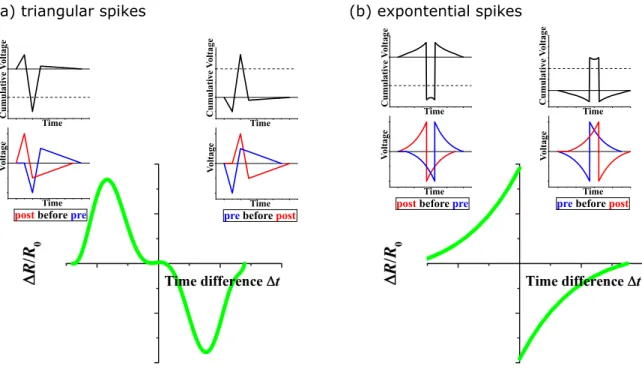 Figure 2.6: Schematic of the Spike-Timing-Dependent Plasticity (STDP) learning rule. Both (a) triangular and (b) exponential voltage spikes can trigger a resistance change in the cell.
