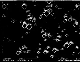 Figure 2.9  Surface d'une cellule solaire  MIS en Si avec  des motifs en pyramides  aléatoires  et  passivée par  une fine couche de Si x N y  [Hezel,  1997] 