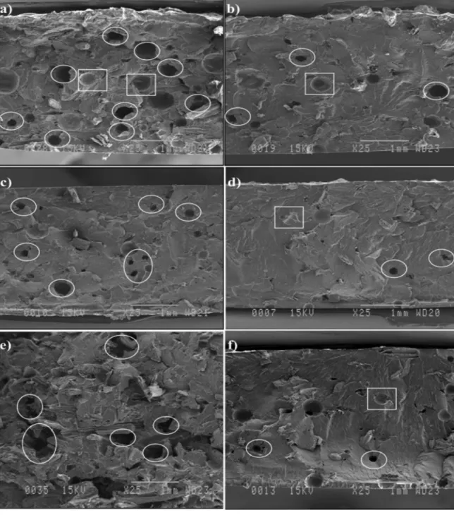 Figure  III–4:  Typical  SEM  images  of  untreated  (a:  10%,  c:  20%  and  e:  30%)  and  treated (b: 10%, d: 20% and f: 30%) maple fibre composites