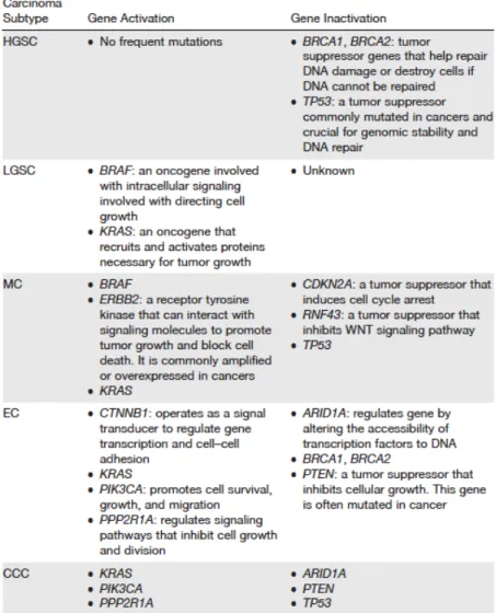 Table 1.2.  Characteristic mutations found in EOCs 