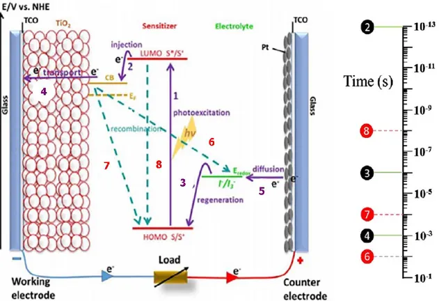 Figure 1.6 Schematic of the working principle of a DSSC and time scale of the processes within a  device [54]