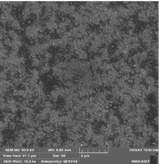 Figure 2.11 SEM image of Pt thin film layer on an FTO substrate.  