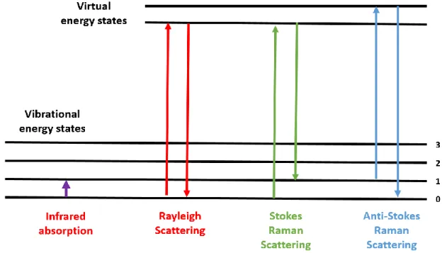 Figure  2.21  "Jablonski"  style  diagrams  of  different  forms  of  energetic  transitions  in  Raman  scattering
