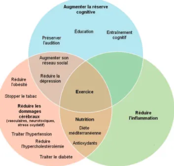 Figure 5 : Principaux moyens de prévention pour réduire les facteurs de risque de la maladie  d'Alzheimer