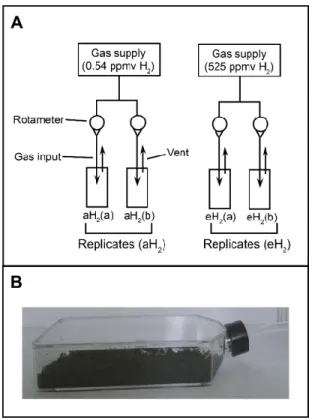 Figure 3.7 Schematic  representation  of  the  dynamic  microcosm  chambers.  (A)  Schematic  representation of the dynamic microcosm chambers utilized in this study to expose  soil to aH 2 or eH 2 levels