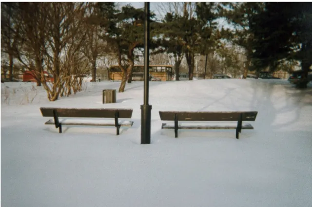 Figure 8 : Bancs sous la neige 