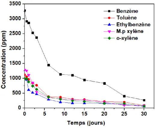 Figure 6 : Suivi de la dégradation du BTEX (initialement entre 976 et 3277ppm) par les laccases  