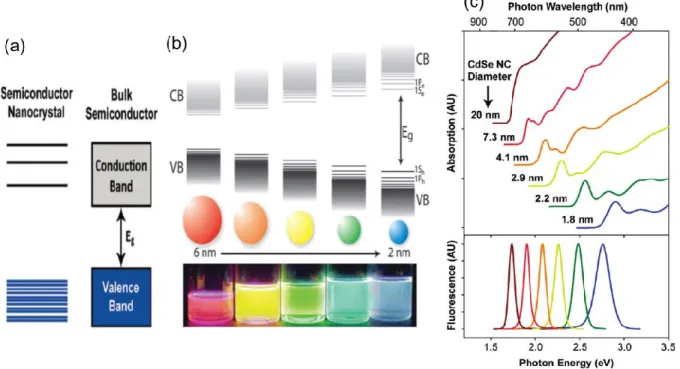 Figure 1.4 (a) Electronic energy states of a semiconductor in the transition from nanosized crystals to bulk crystals