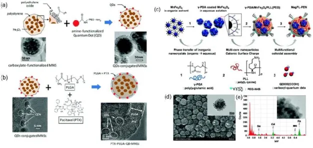 Figure  2.4  (a)  Schematic  diagram  of  the  conjugation  of  amine-functionalized  quantum  dots  (QDs)  to  the  surface  of  carboxylate-functionalized MNSs using conventional NHS/EDC coupling method; (b) Scheme of PTX loading using a thin  PLGA coat 