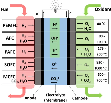 Figure 1.1. Overview of five typical fuel cells. 