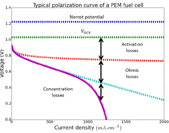 Figure 1.3. Typical polarization curve of a PEMFC [25]. 