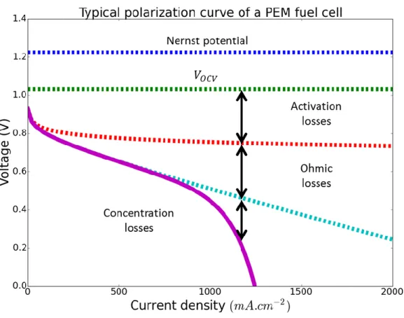 Figure 1.3. Typical polarization curve of a PEMFC [25]. 