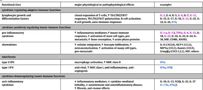 Figure 14 of literature review. Cytokines are pivotal regulators of intercellular communication and function