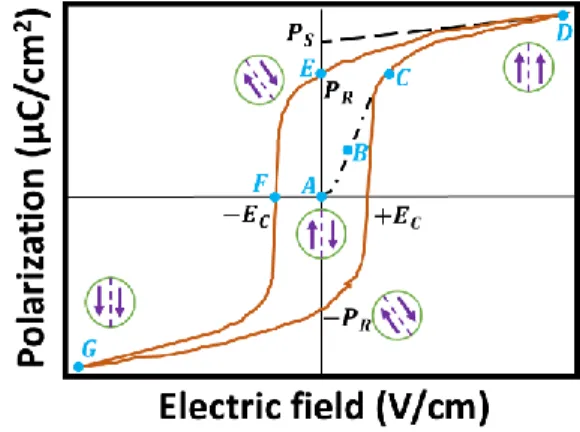 Figure 10. Ferroelectric Polarization-Electric field hysteresis loop. Adapted from ref