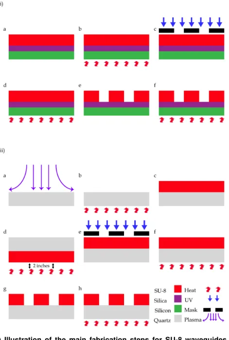 Figure 2. 3  (i)  Illustration  of  the  main  fabrication  steps  for  SU-8  waveguides  on  an  oxidized  silicon  wafer  and  (ii)  on  a  fused  quartz  wafer
