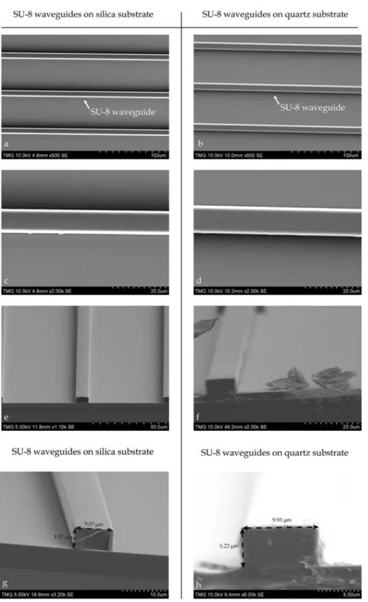 Figure 2. 4  SEM  pictures  of  SU-8  waveguides  on  oxidized  silicon  and  fused  quartz  wafer  respectively: (a) and (b) waveguide array (c) and (d) single waveguide (e) and (f) facet  (g) and (h) measured width and height