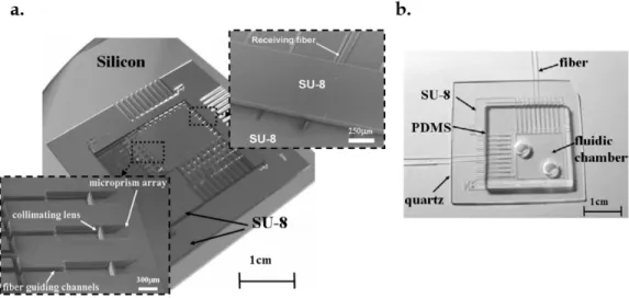 Figure 1. 17  Photograph of the monolithic TIR-based a) SU-8/silicon chip with the SEM photos  (in captions) of the microprism array (left) and the receiving fiber in its respective  groove  (right)