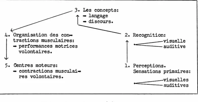 Figure 1:  Elaboration du langage (l).