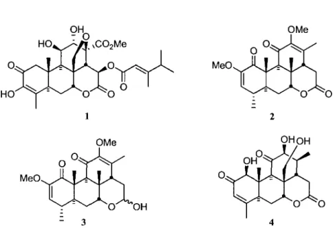 Figure 1. La bruceantine (1), la quassine (2), la neoquassine (3) et la shinjulactone C (4)