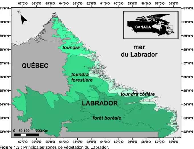 Figure 1.3 : Principales zones de végétation du Labrador. 