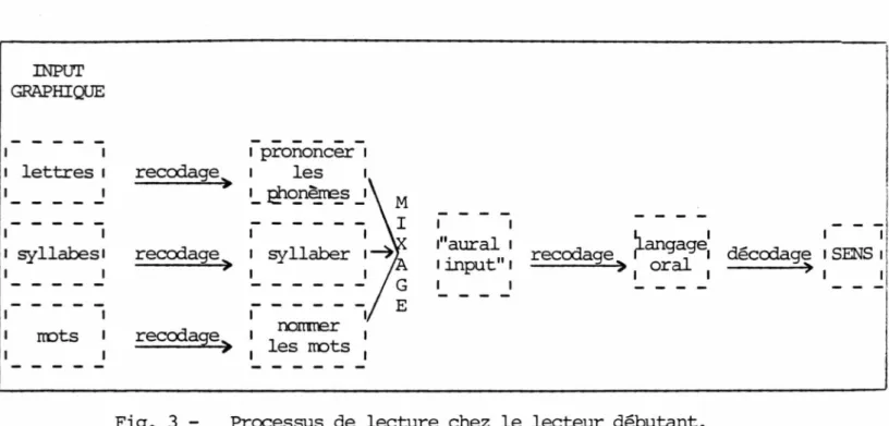 Fig.  3 -  Processus de lecture chez le lecteur débutant.