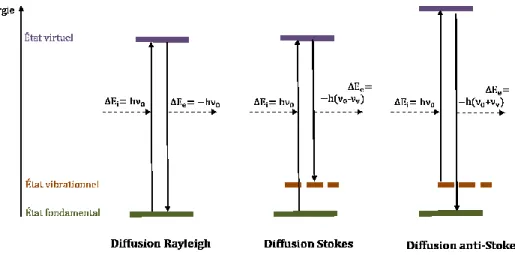 Figure  1 : Diagramme de Jablonski qui montre les différents types de la diffusion de la lumière