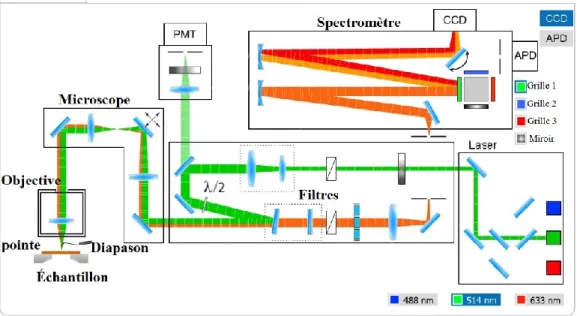 Figure 7 : Dispositif expérimental du système TERS montrant les différents chemins du laser