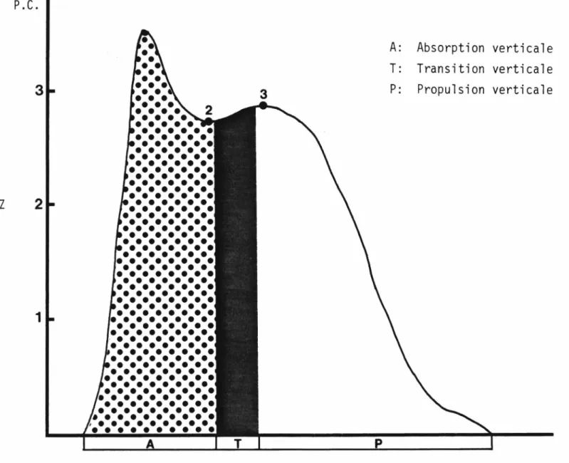 Figure  7  -  Phases d'absorption,  de  transition  et  de  propulsion  verticale  de  la  18e  enjambée  (sujet  P.R.).