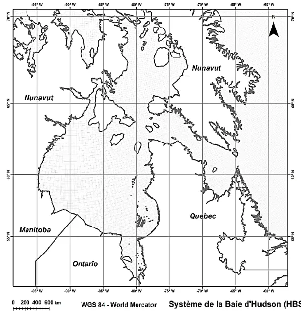 Figure 18: Maillage du modèle avec un total de 20 738 pixels d’une résolution spatiale de 12,5 km 