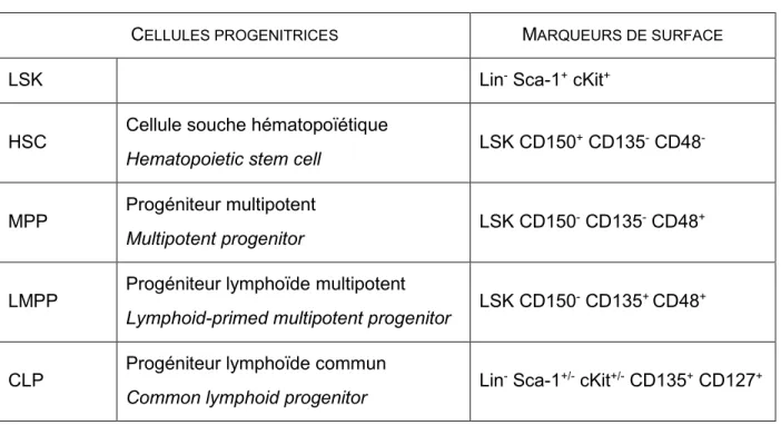 Tableau 1.1  Expression des marqueurs de surface des progéniteurs dans la moëlle osseuse 