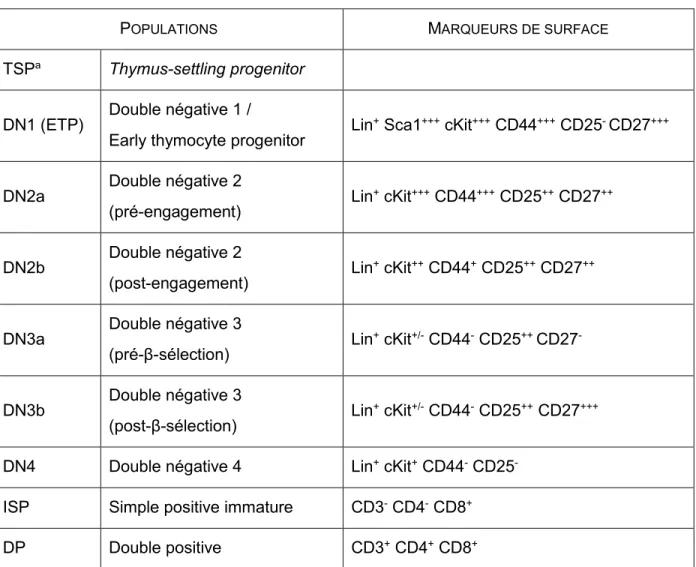 Tableau 1.2  Expression des marqueurs à la surface des thymocytes 