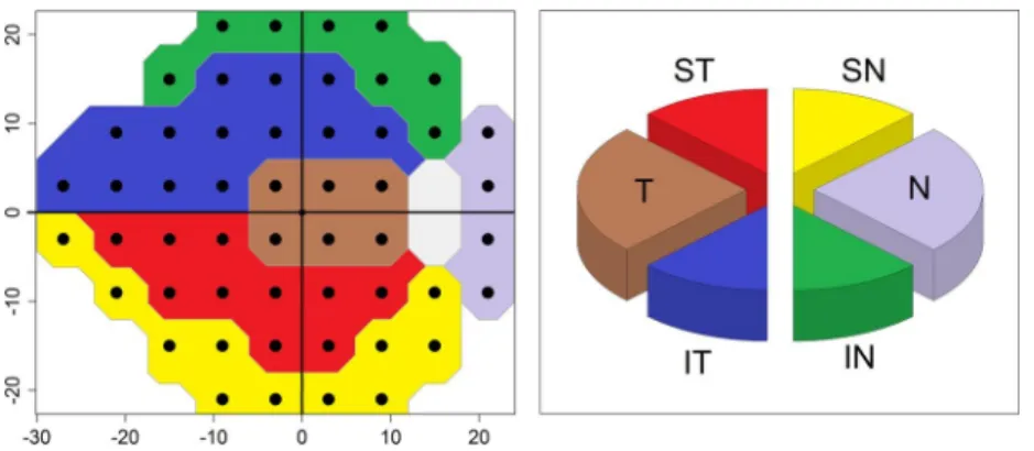 Figure 2.11 – Structure-function map developed by Garway-Heath, et al. [28], that describes the relationship between the visual field test points in the Humphrey 24-2 test pattern (left) and the ONH anatomy (right)