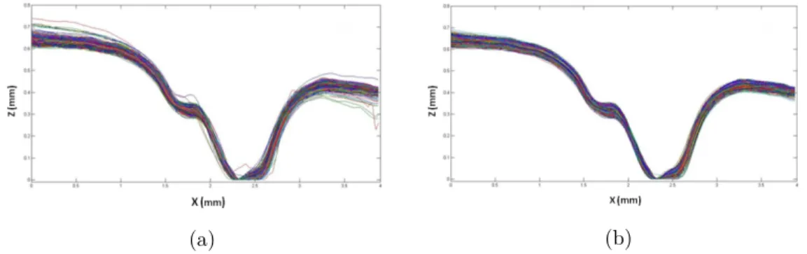 Figure 5.4b shows the final profiles that are going to be used in the analysis. In general, the number of discarded profiles per image series is not higher than 15.