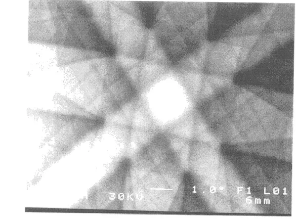 Figure 2.4 Figure ^'electron channeling pattern obtenu sur I'echantillon A1 3